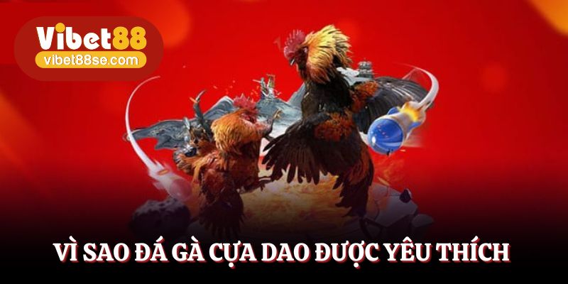 4 lý do đá gà cựa dao thu hút người chơi