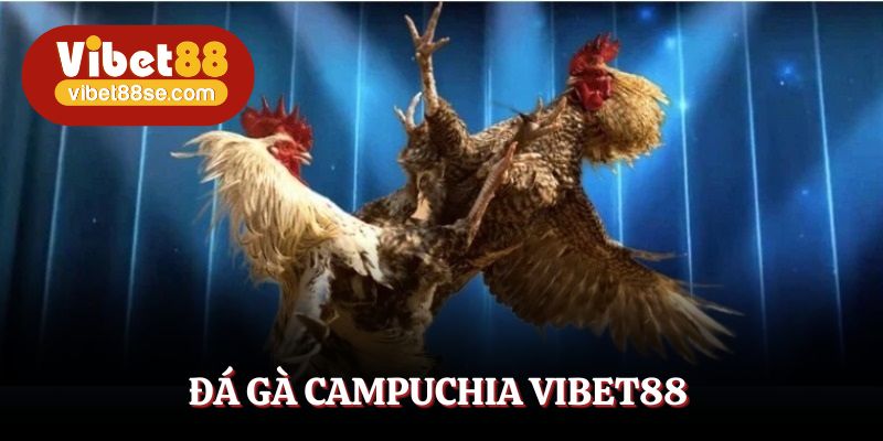 Đá Gà Campuchia