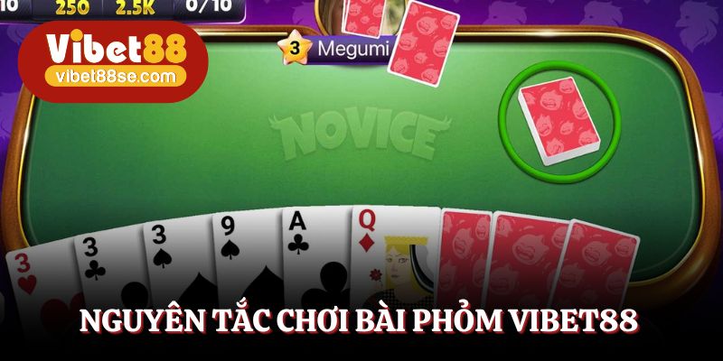 Bật mí nguyên tắc chung khi tham gia bài phỏm