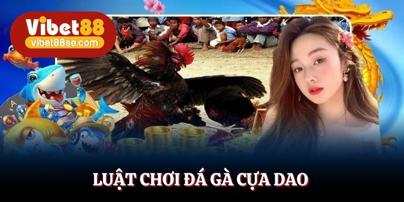 Chi tiết luật chơi, quy trình và cách phân định thắng thua