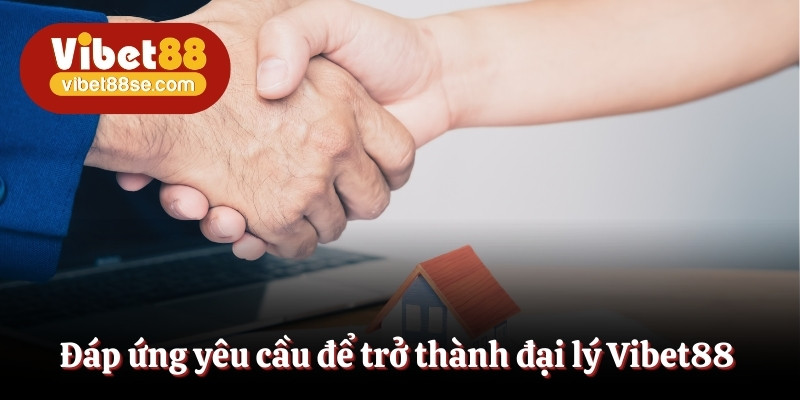 Đáp ứng mọi điều kiện để hợp tác đại lý Vibet88