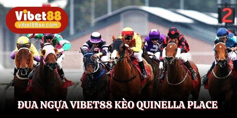 Đua ngựa Vibet88 kèo Quinella Place thưởng khủng