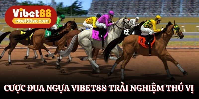Cược đua ngựa tại Vibet88 trải nghiệm thú vị