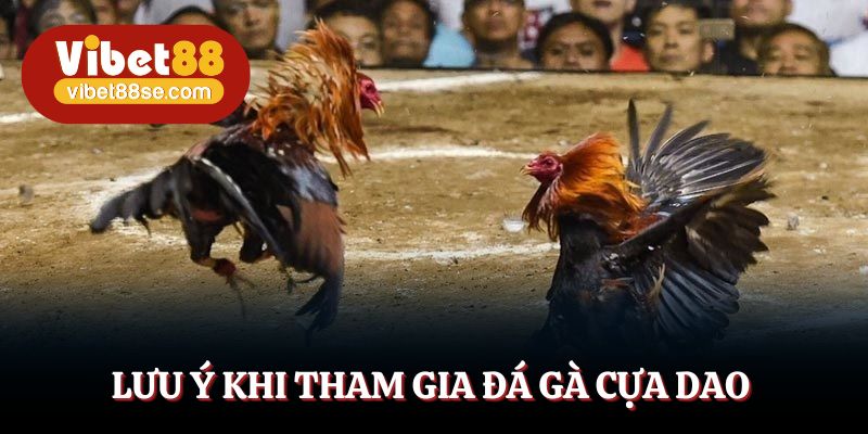 Lưu ý chọn nhà cái, hiểu loại cược và chiến kê mình chọn