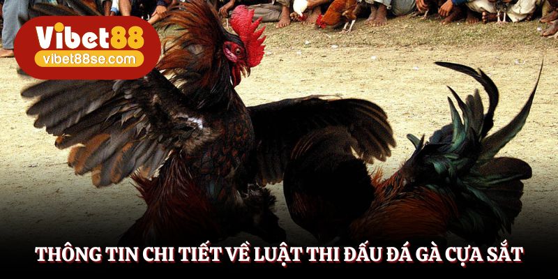 Các quy định bất di bất dịch mà bất kỳ ai cũng cần nắm rõ