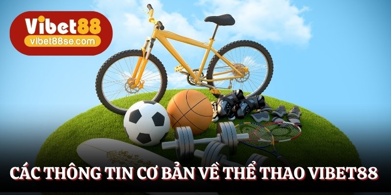 Hiểu rõ về thể thao Vibet88 qua phần giới thiệu