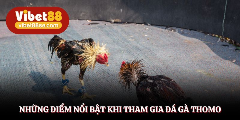 Các tính năng nâng cao mang đến sân chơi sôi động hàng đầu